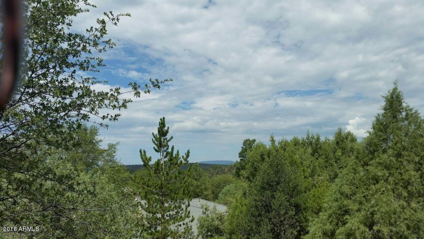 1402 North Sunset Drive Payson, AZ 85541 - Photo 6 of 28 Mountain Views