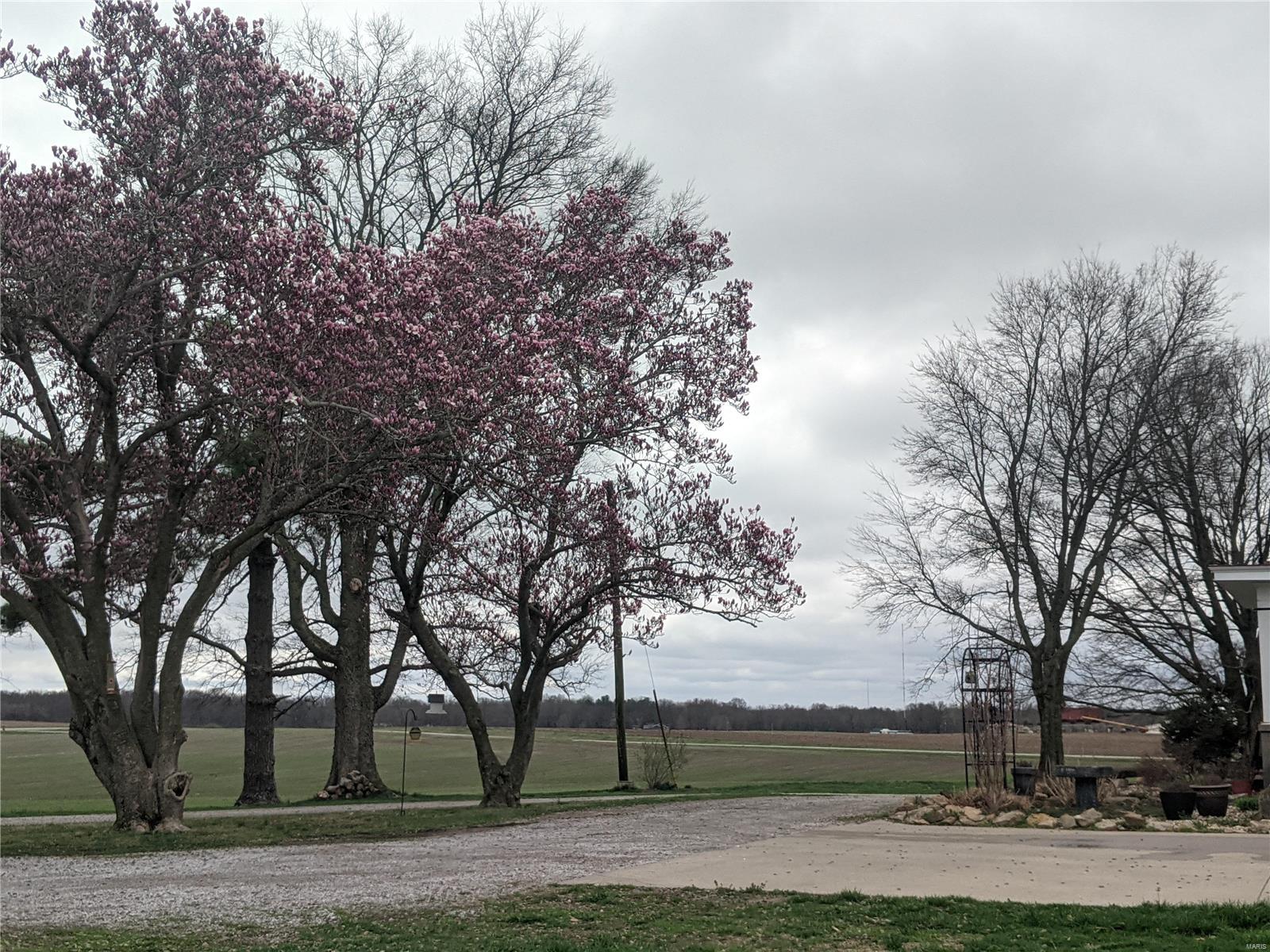 10731 Ridge Road Sparta, IL 62286 - Photo 45 of 54