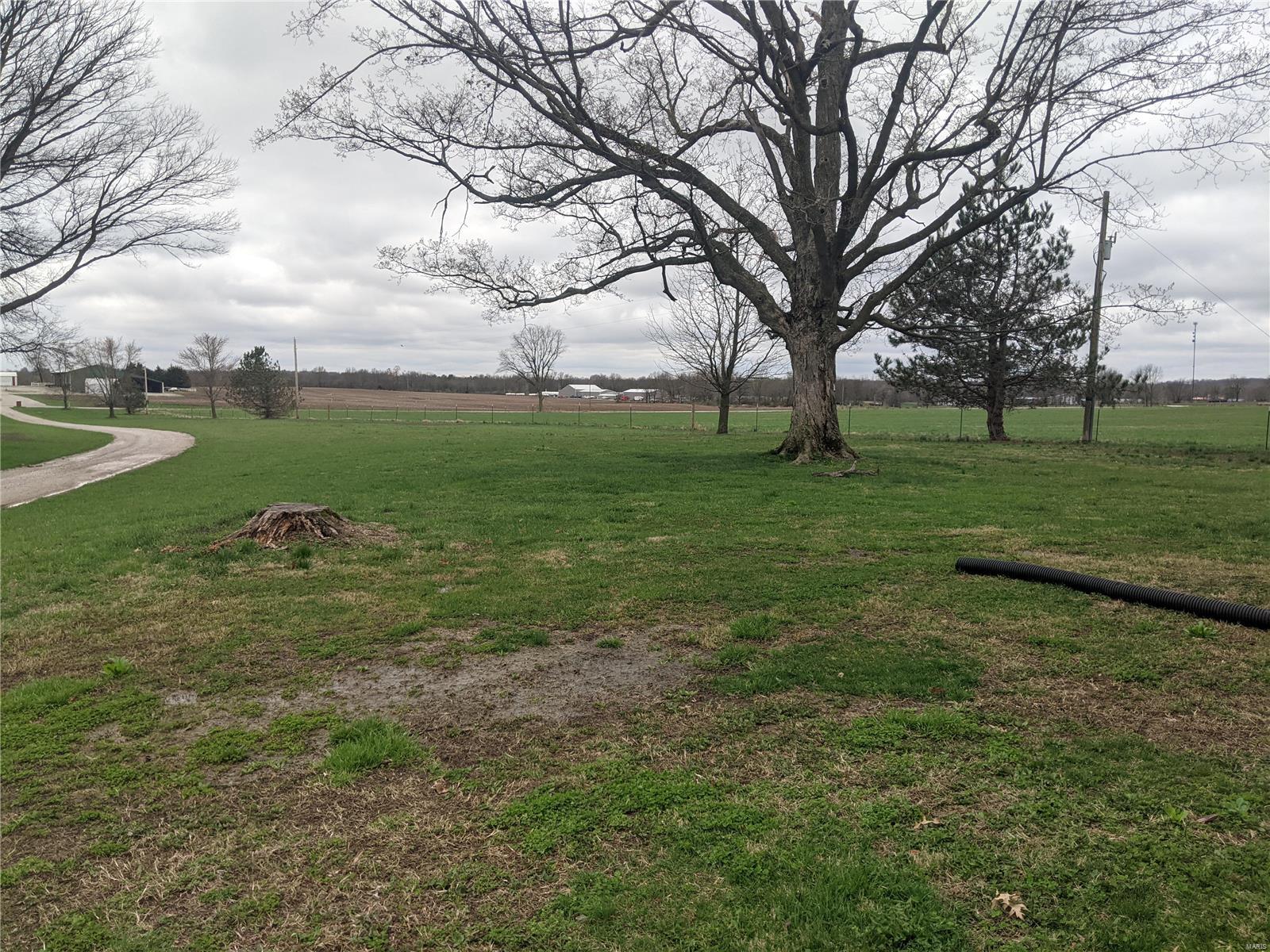 10731 Ridge Road Sparta, IL 62286 - Photo 48 of 54