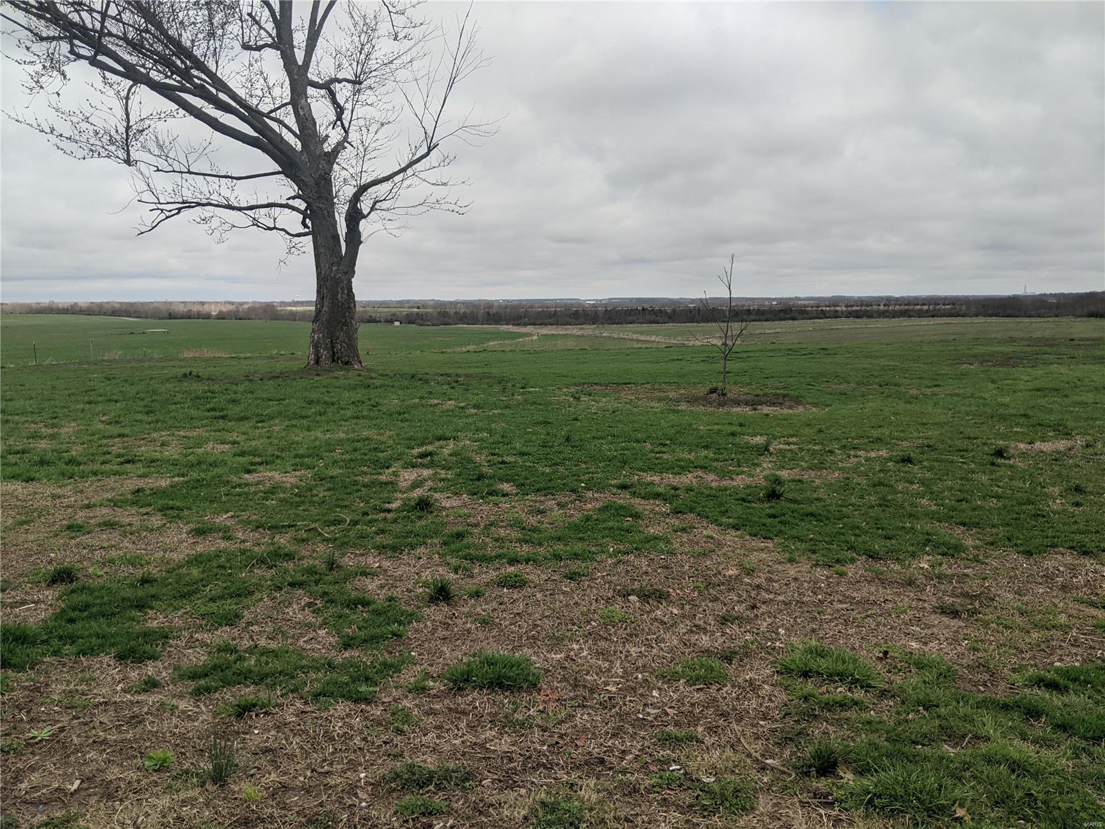 10731 Ridge Road Sparta, IL 62286 - Photo 49 of 54