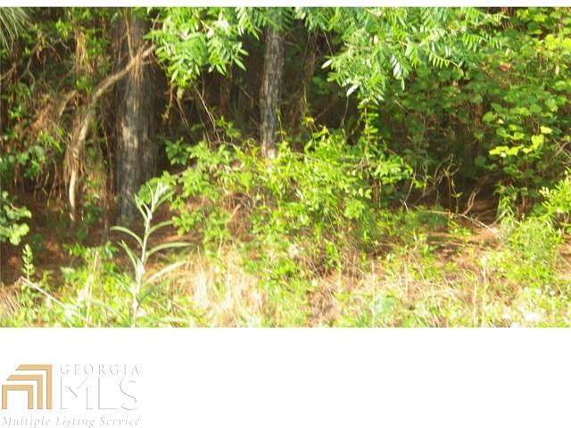 0 Gunters Mill Road Byron, GA 31008 - Photo 1 of 1 a picture of a yard