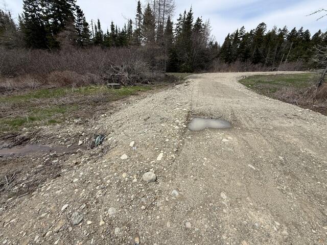Lot 5 Holmes Bay Farms Road Whiting, ME 04691 - Photo 16 of 23 IMG_9105 (1)