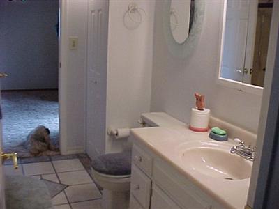 2543 Laughlin Road Windsor, CA 95492 - Photo 9 of 11 a bathroom with a sink a toilet and a mirror
