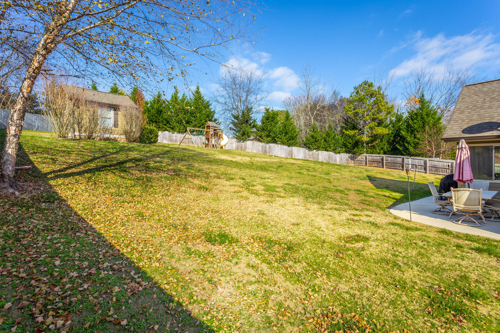 231 Live Oak Road Ringgold, GA 30736 - Photo 36 of 50 Back Yard