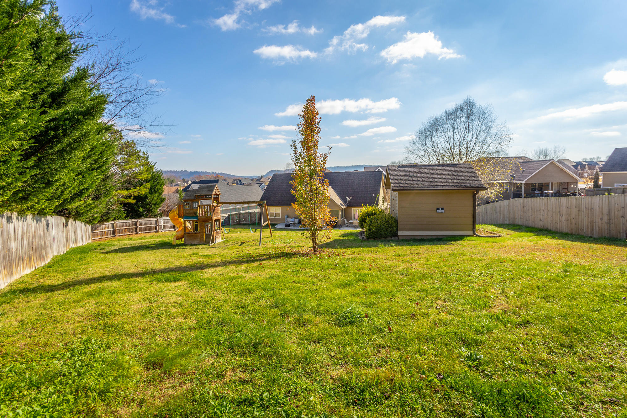 231 Live Oak Road Ringgold, GA 30736 - Photo 37 of 50 Back Yard