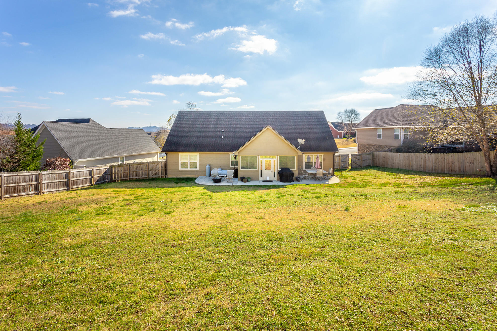 231 Live Oak Road Ringgold, GA 30736 - Photo 38 of 50 Back Yard
