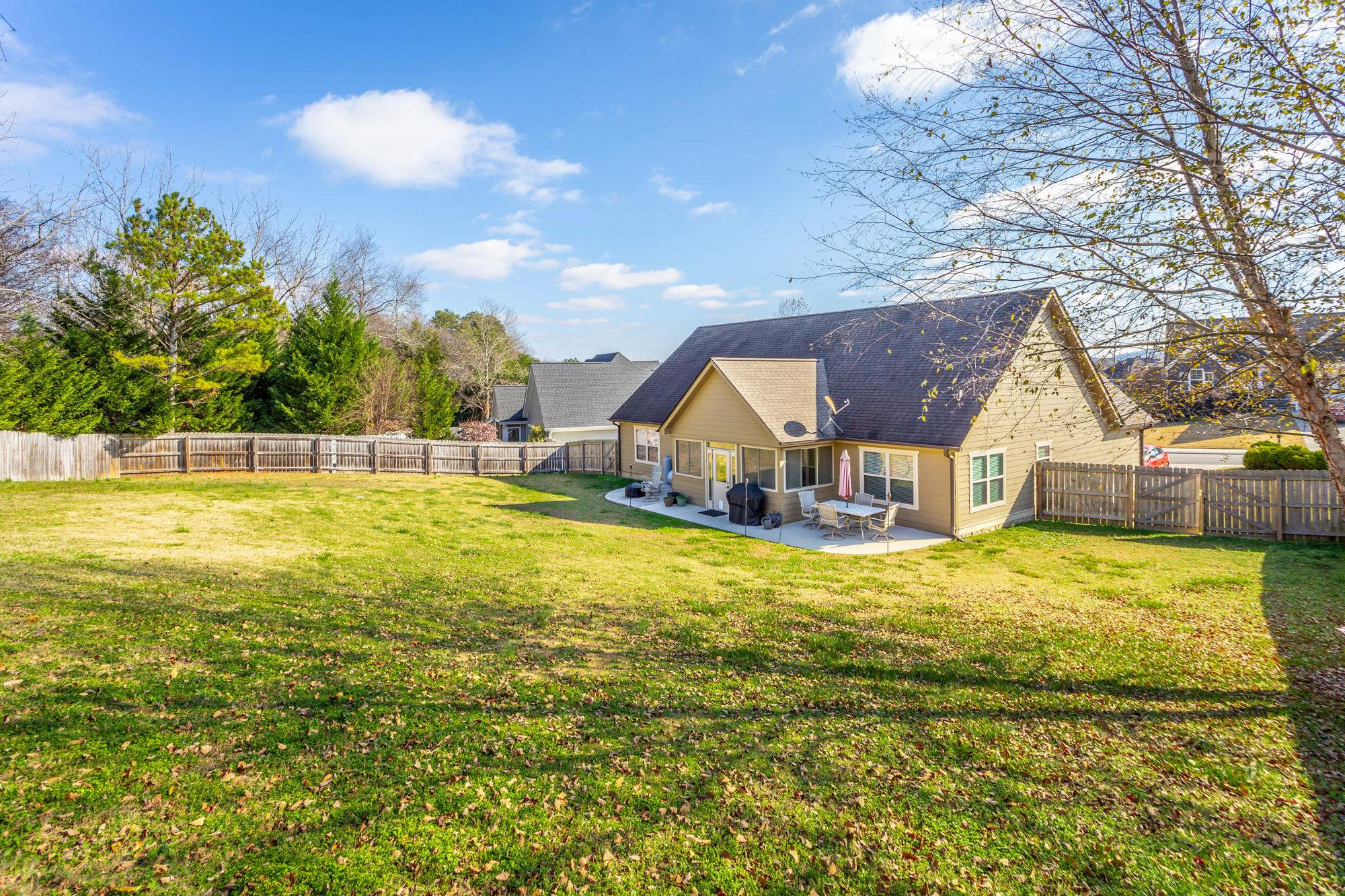 231 Live Oak Road Ringgold, GA 30736 - Photo 40 of 50 Back Yard