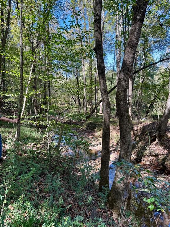 681 Mullinax Road Jasper, GA 30143 - Photo 25 of 36
