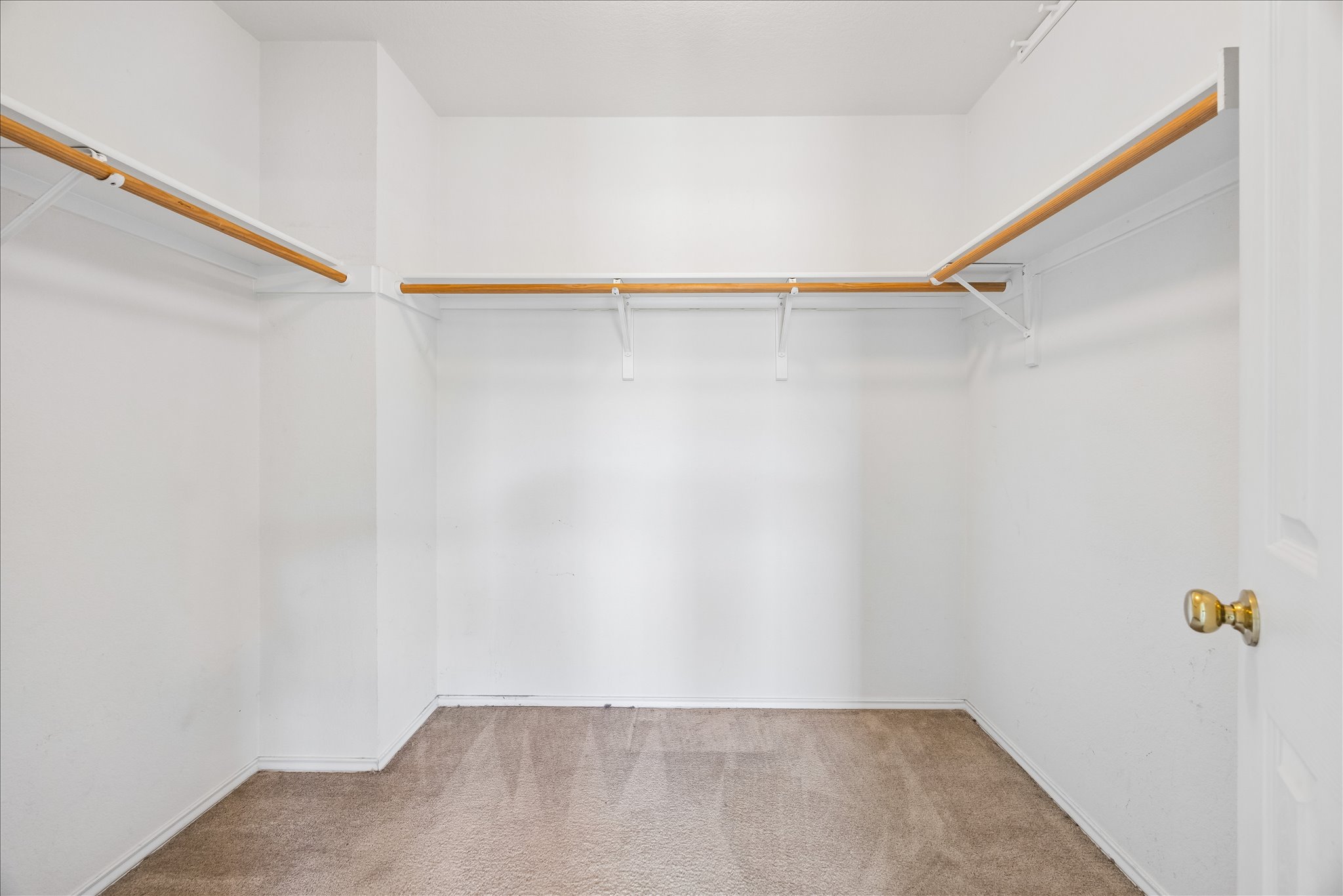 338 Spring Branch Loop Kyle, TX 78640 - Photo 18 of 36 A spacious walk-in closet awaits with ample hanging space and neutral carpet.