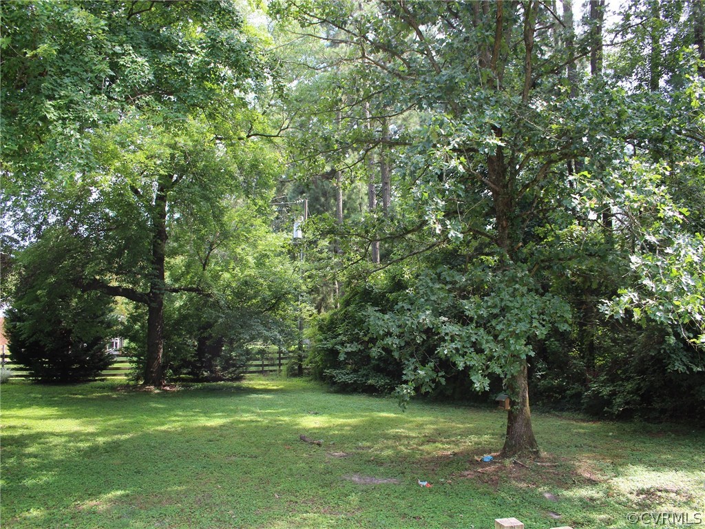 7445 Colts Neck Road Mechanicsville, VA 23111 - Photo 19 of 21 Back yard