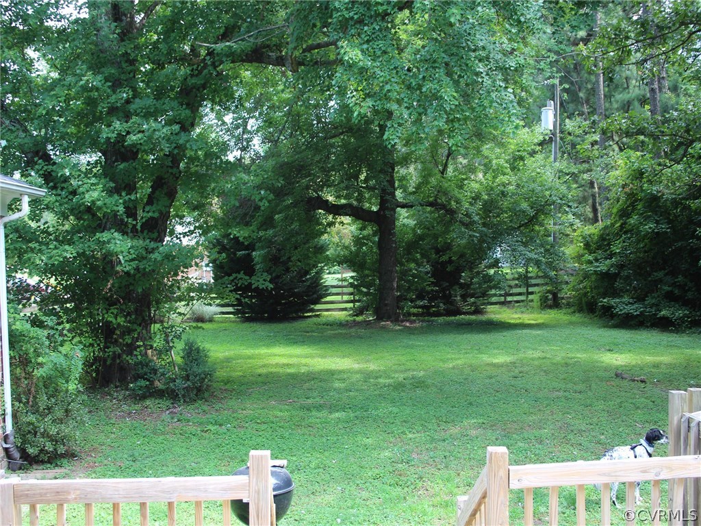 7445 Colts Neck Road Mechanicsville, VA 23111 - Photo 20 of 21 Back yard