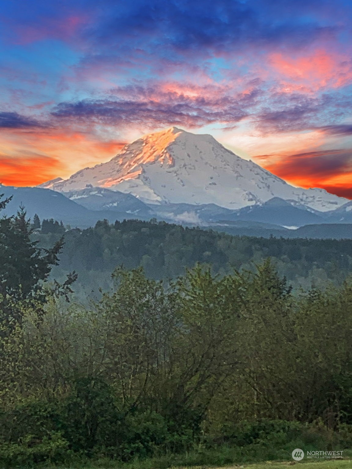 13909 Prairie Ridge Drive East Bonney Lake, WA 98391 - Photo 27 of 36 a view of an outdoor space and mountain view