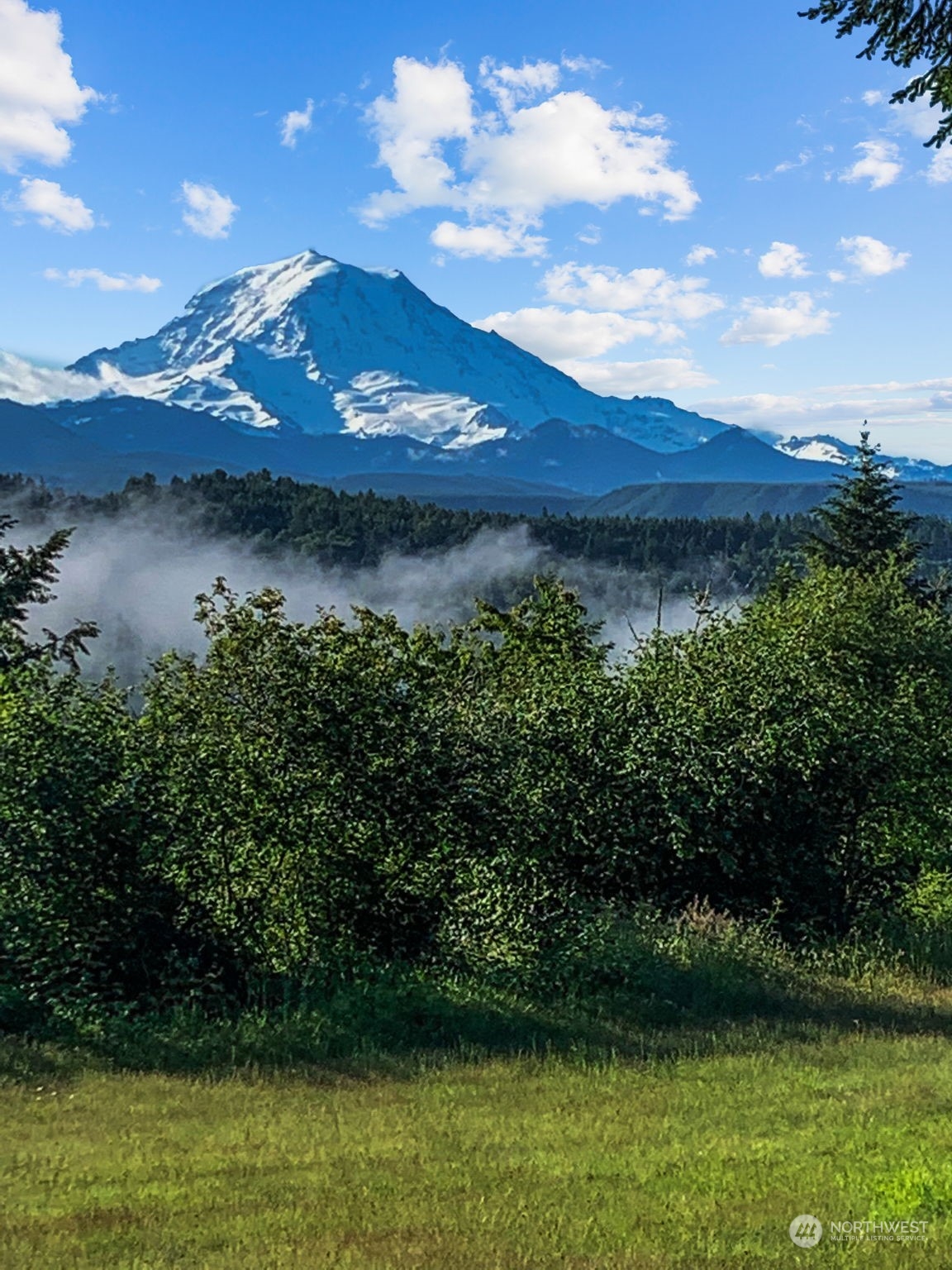13909 Prairie Ridge Drive East Bonney Lake, WA 98391 - Photo 28 of 36 a view of a lake with a yard