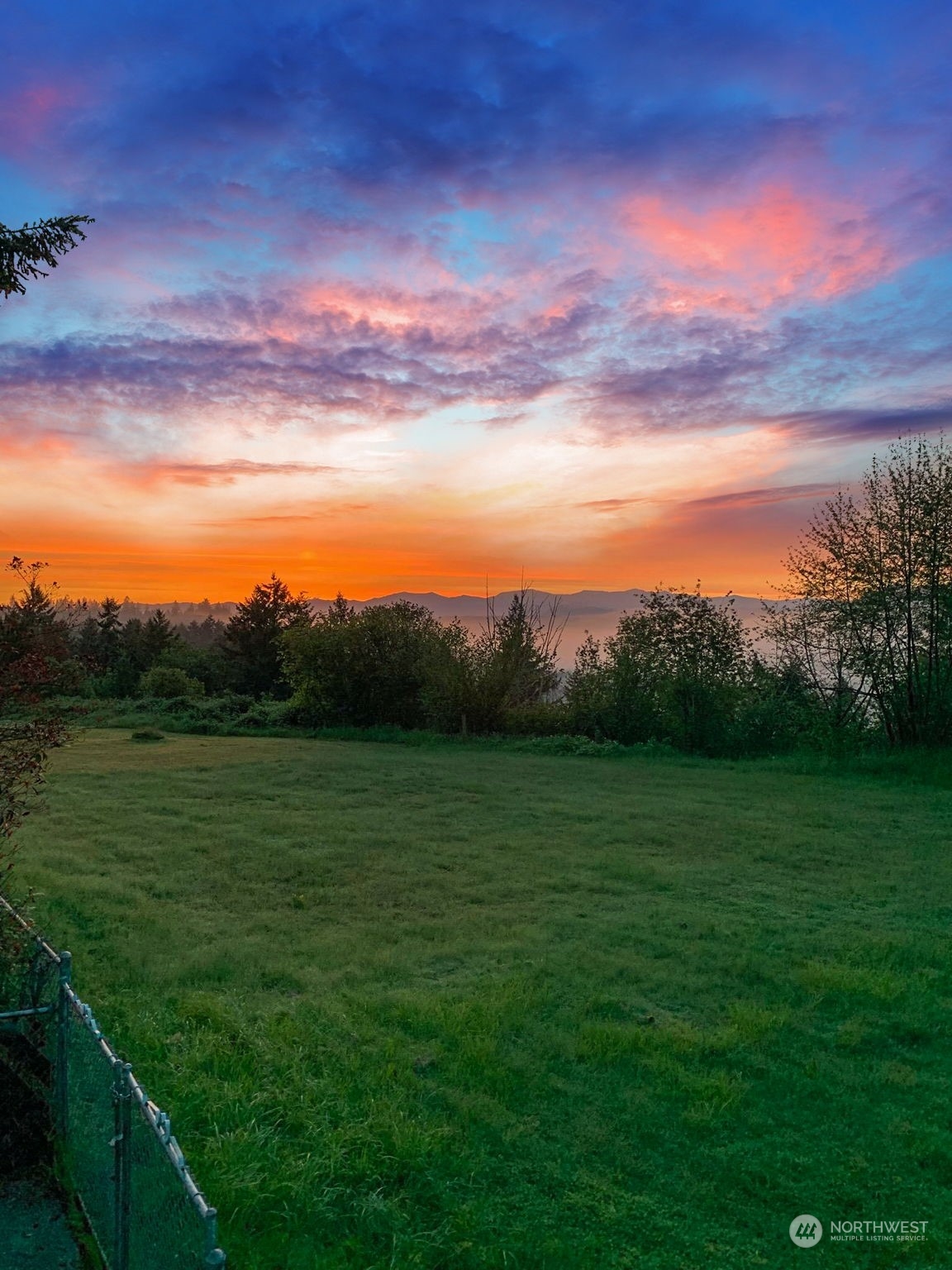 13909 Prairie Ridge Drive East Bonney Lake, WA 98391 - Photo 30 of 36 a view of an ocean and a yard