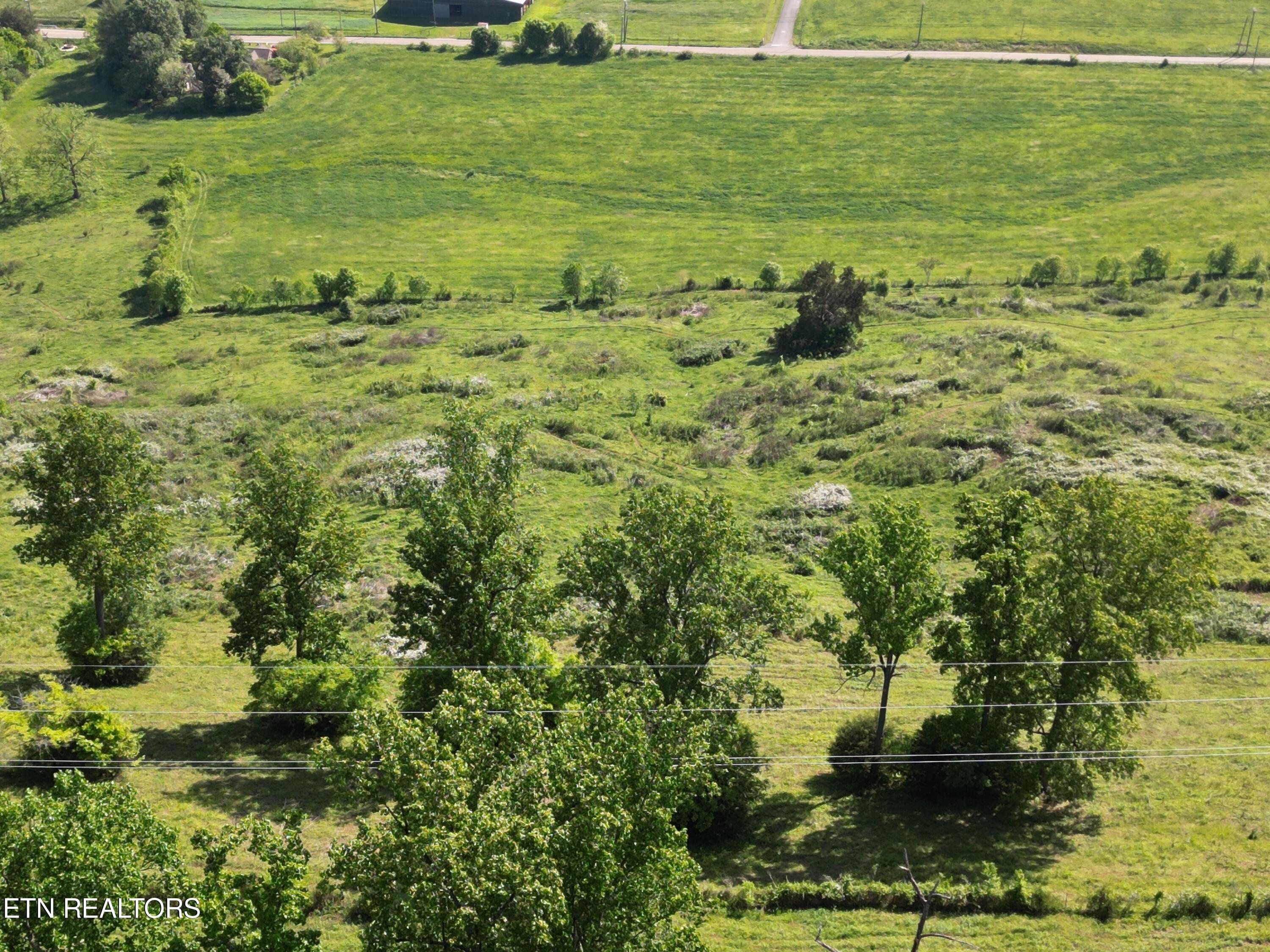 3 Highway 92 Rutledge Tn 37861 Rutledge, TN 37861 - Photo 4 of 4 3-4