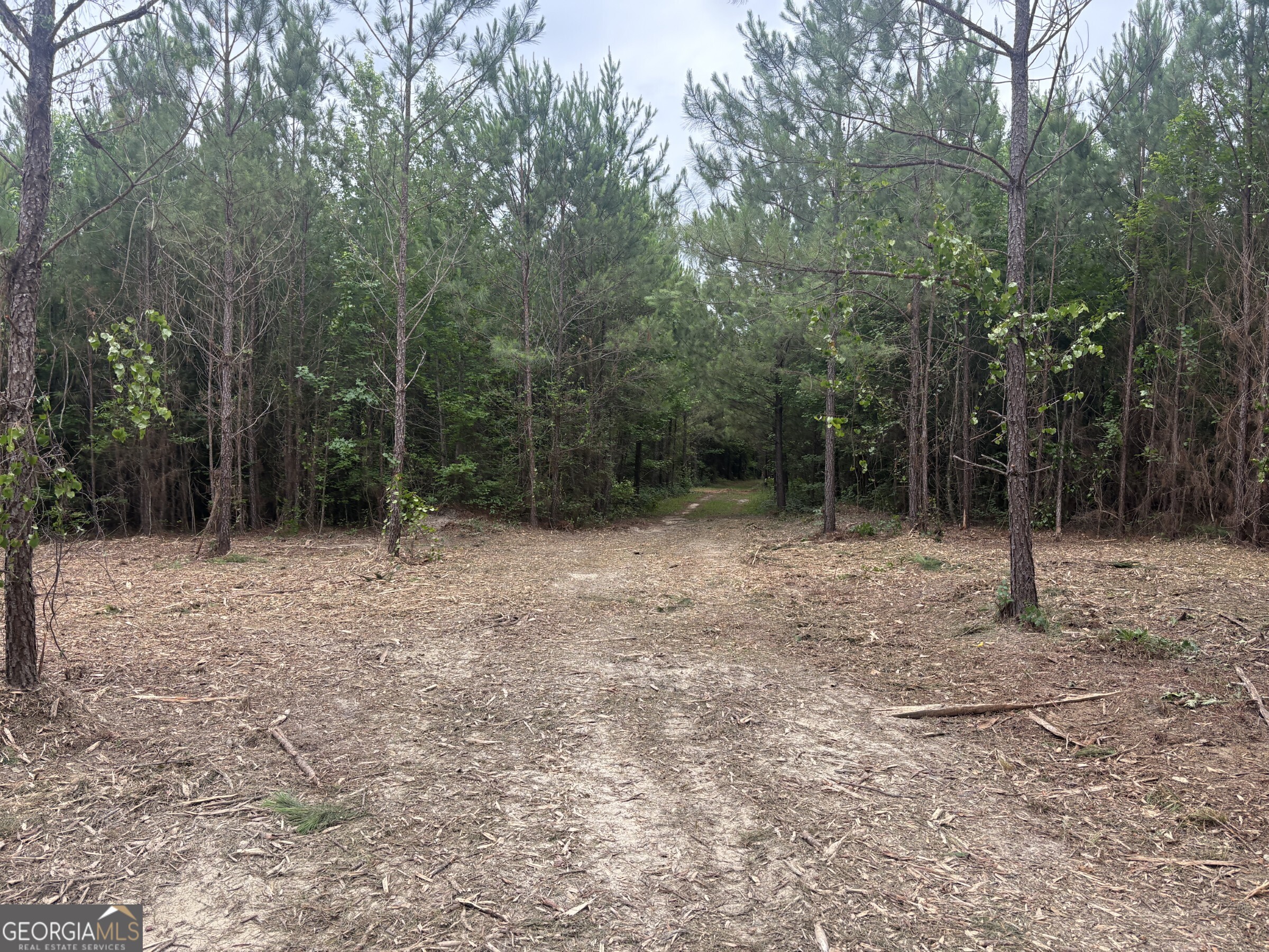 L6 North Indian Trail Road Sandersville, GA 31082 - Photo 7 of 8
