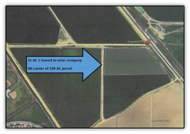 a view of a ocean beach