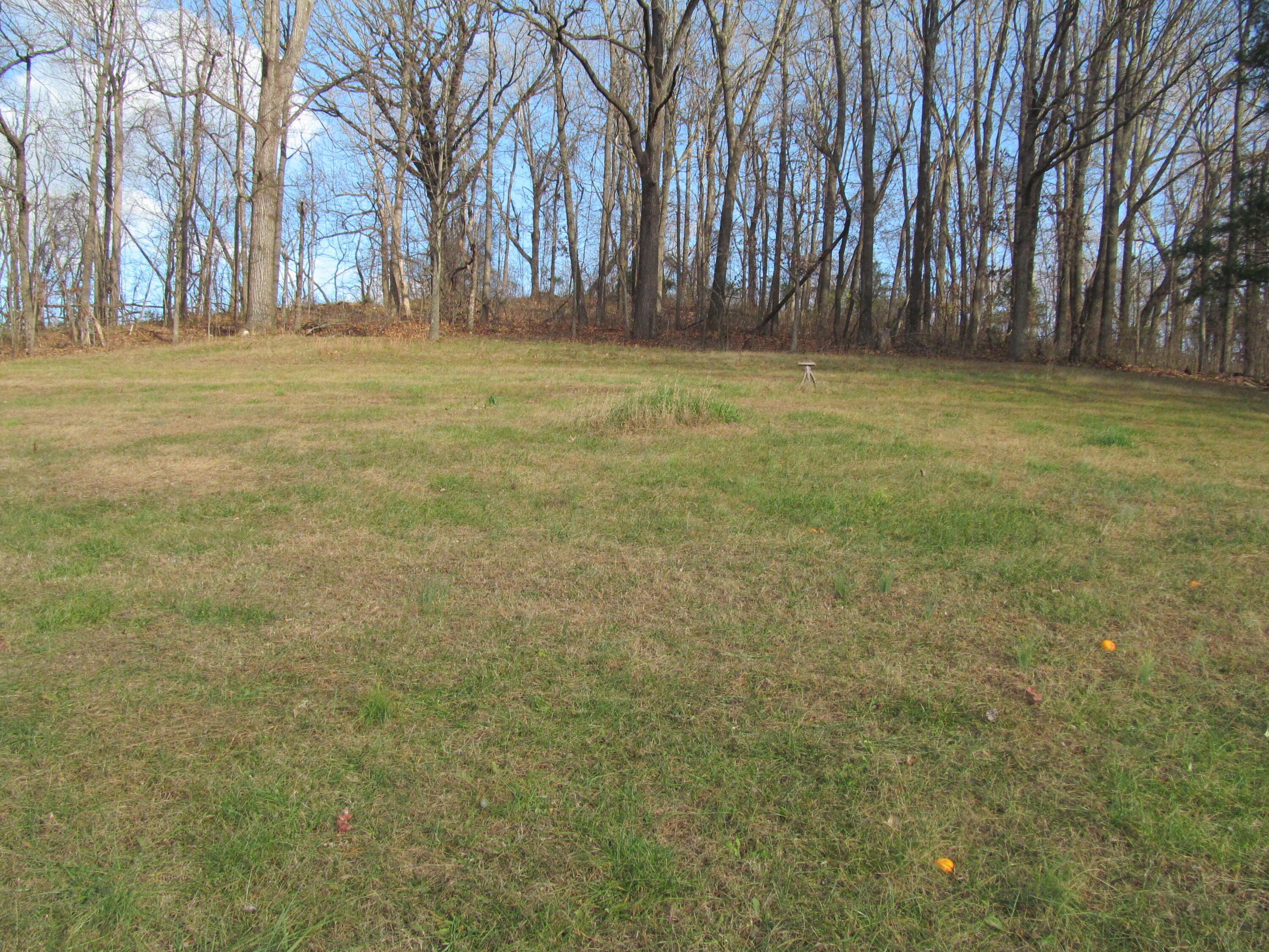 4768 Catawba Road Troutville, VA 24175 - Photo 5 of 17 IMG_0048