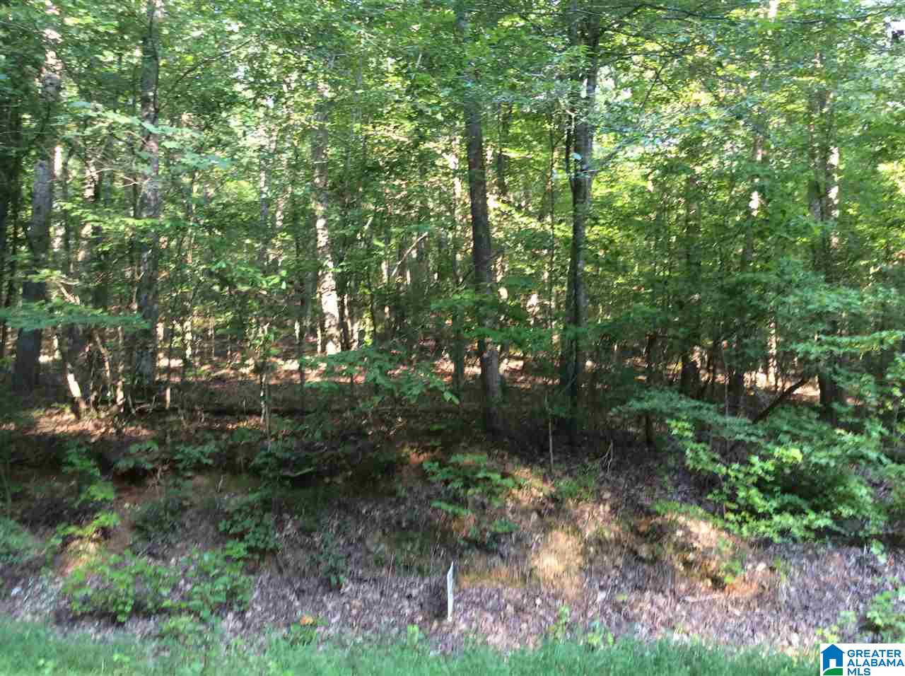 0 Berrington Lane Springville, AL 35146 - Photo 3 of 17