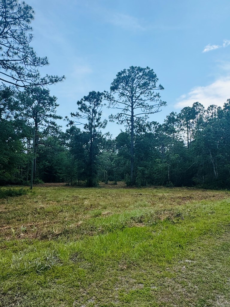 173 Skipper Road Carrabelle, FL 32322 - Photo 4 of 10