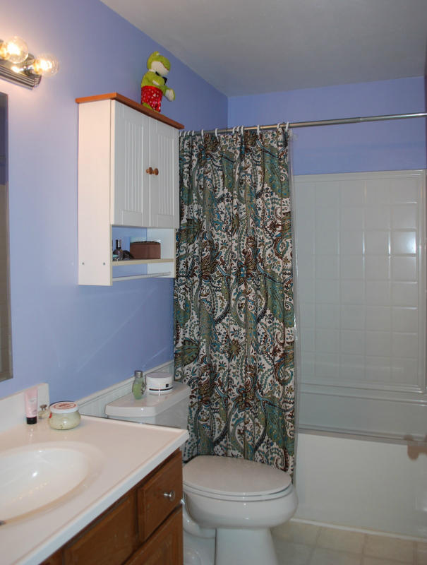 5259 Setter Road Roanoke, VA 24012 - Photo 30 of 39 DSC_0059