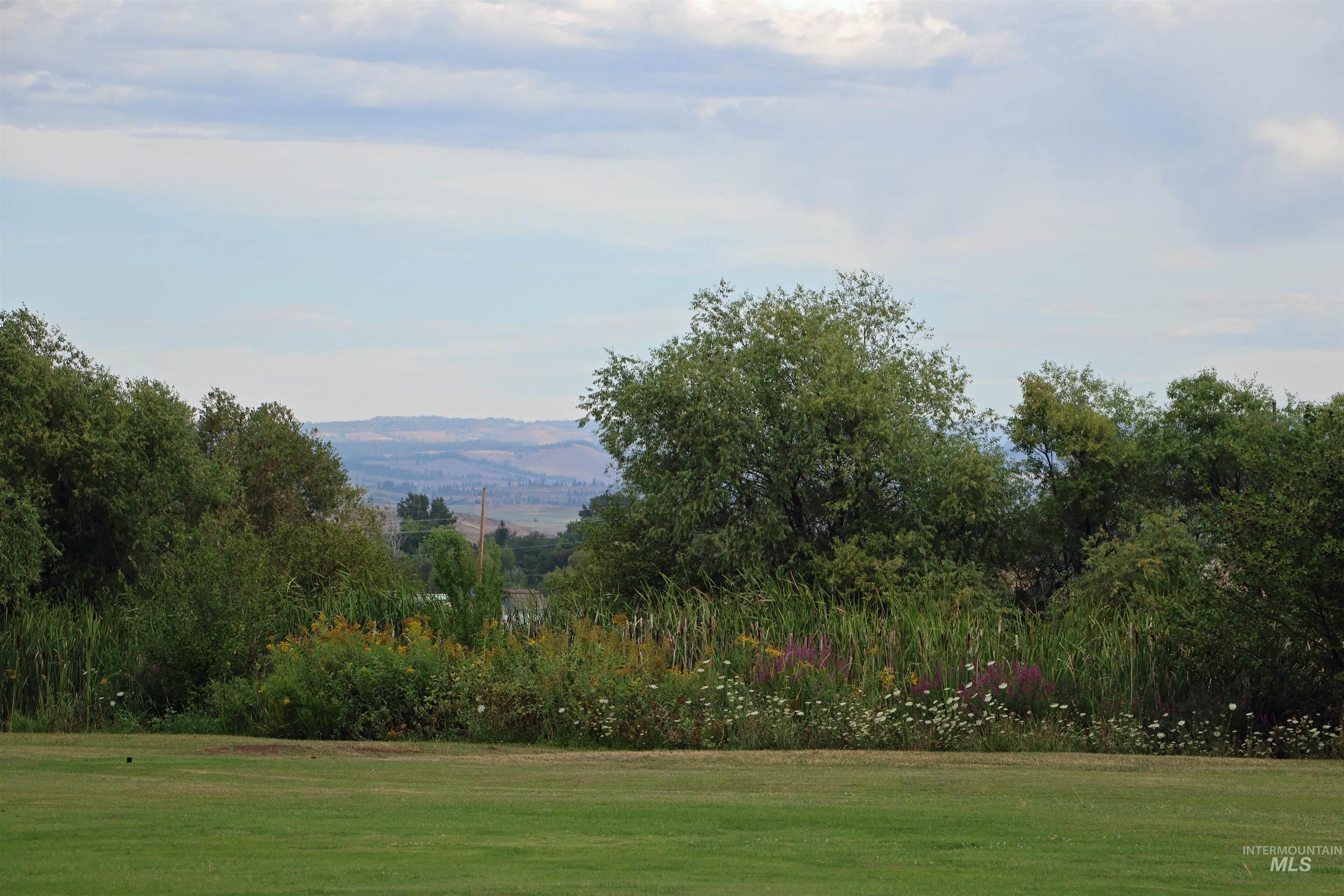 2272 Golf Lane Council, ID 83612 - Photo 29 of 32 View of property's community with a yard