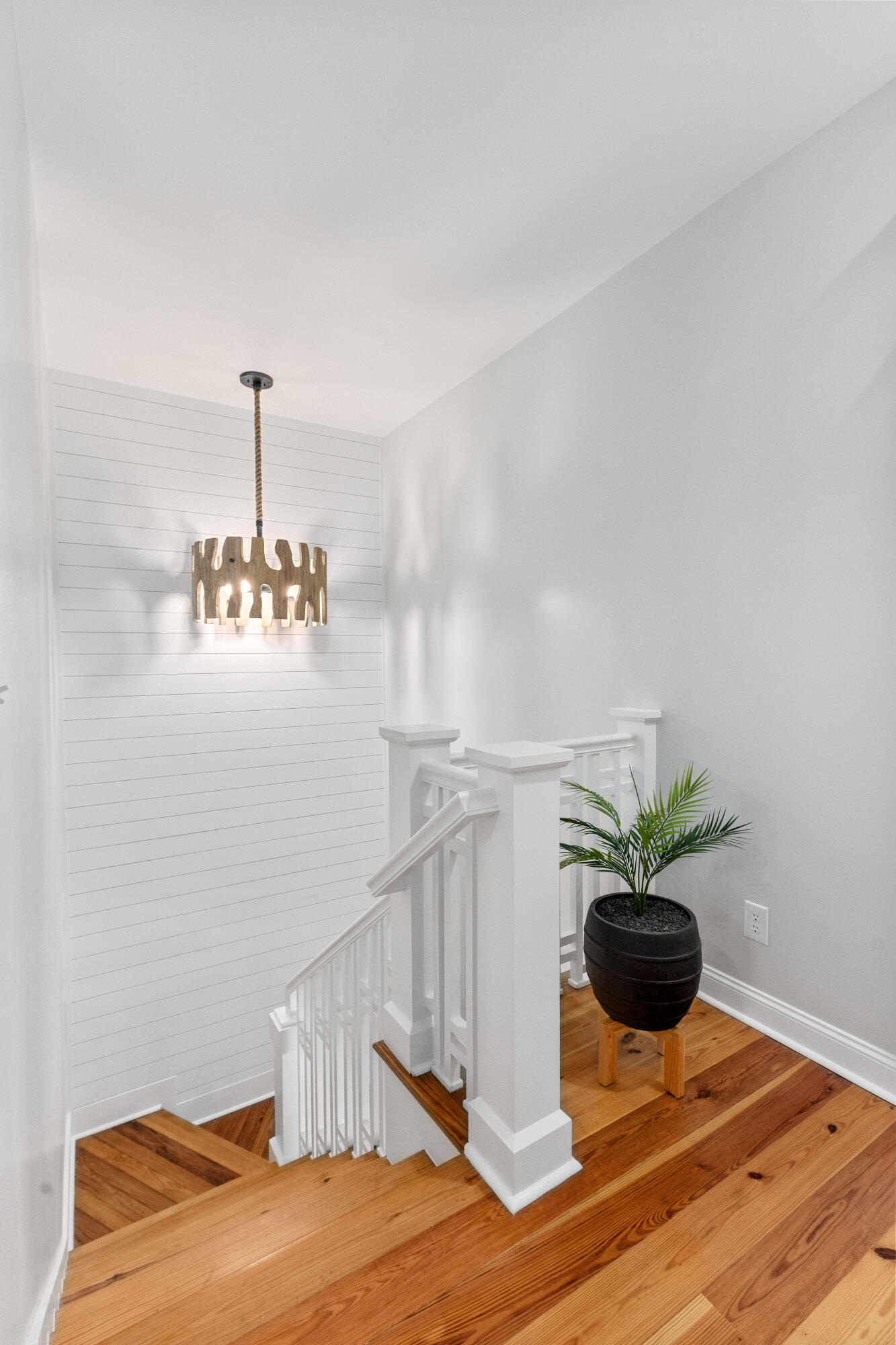 1908 English Ivy Court Mount Pleasant, SC 29464 - Photo 24 of 46 1908EnglishIvyCt-CasaVerdeMediaLLC29
