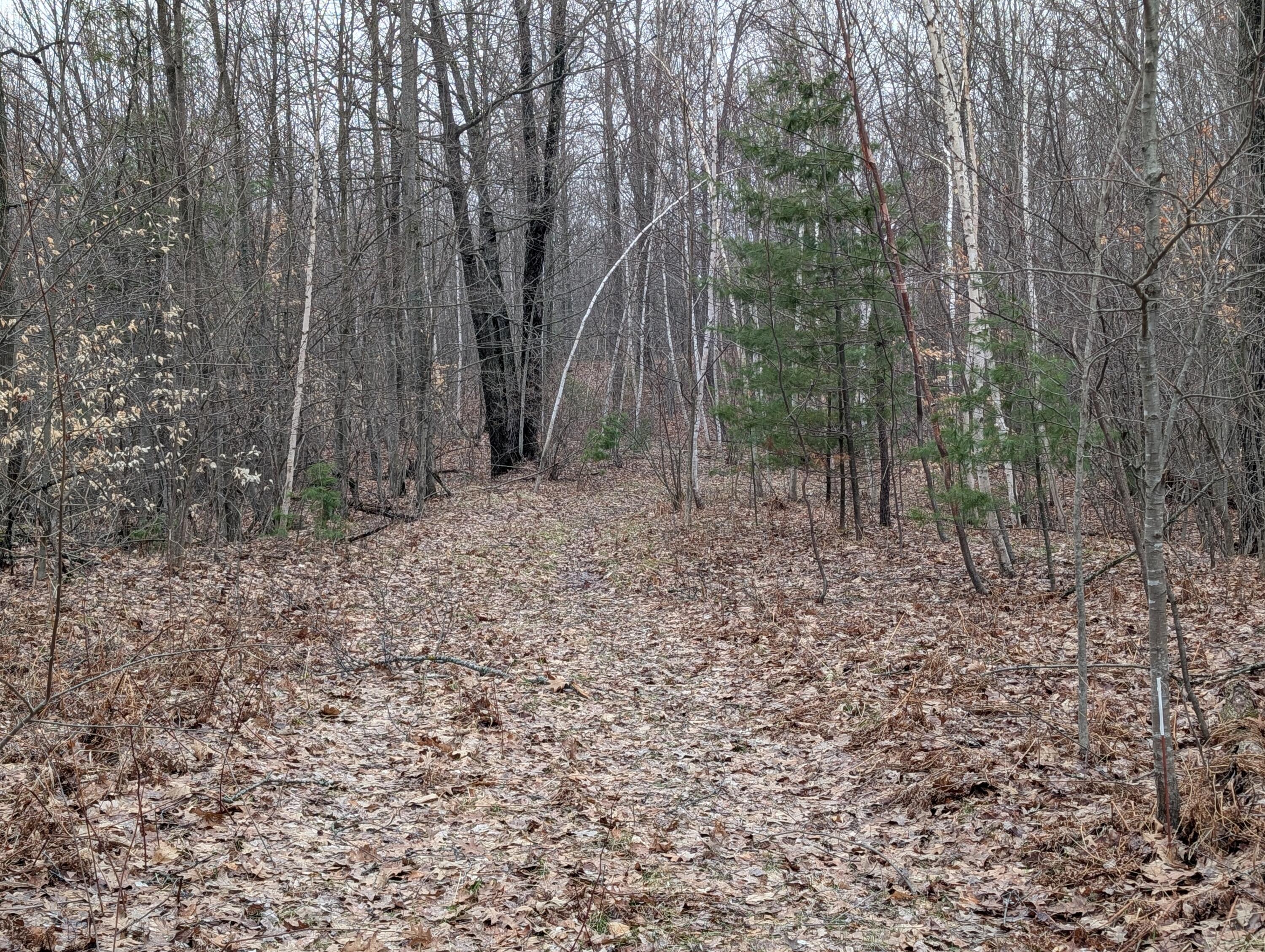 21 21 Mile Road Evart, MI 49631 - Photo 9 of 17 9