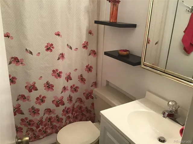 a bathroom with a sink and toilet