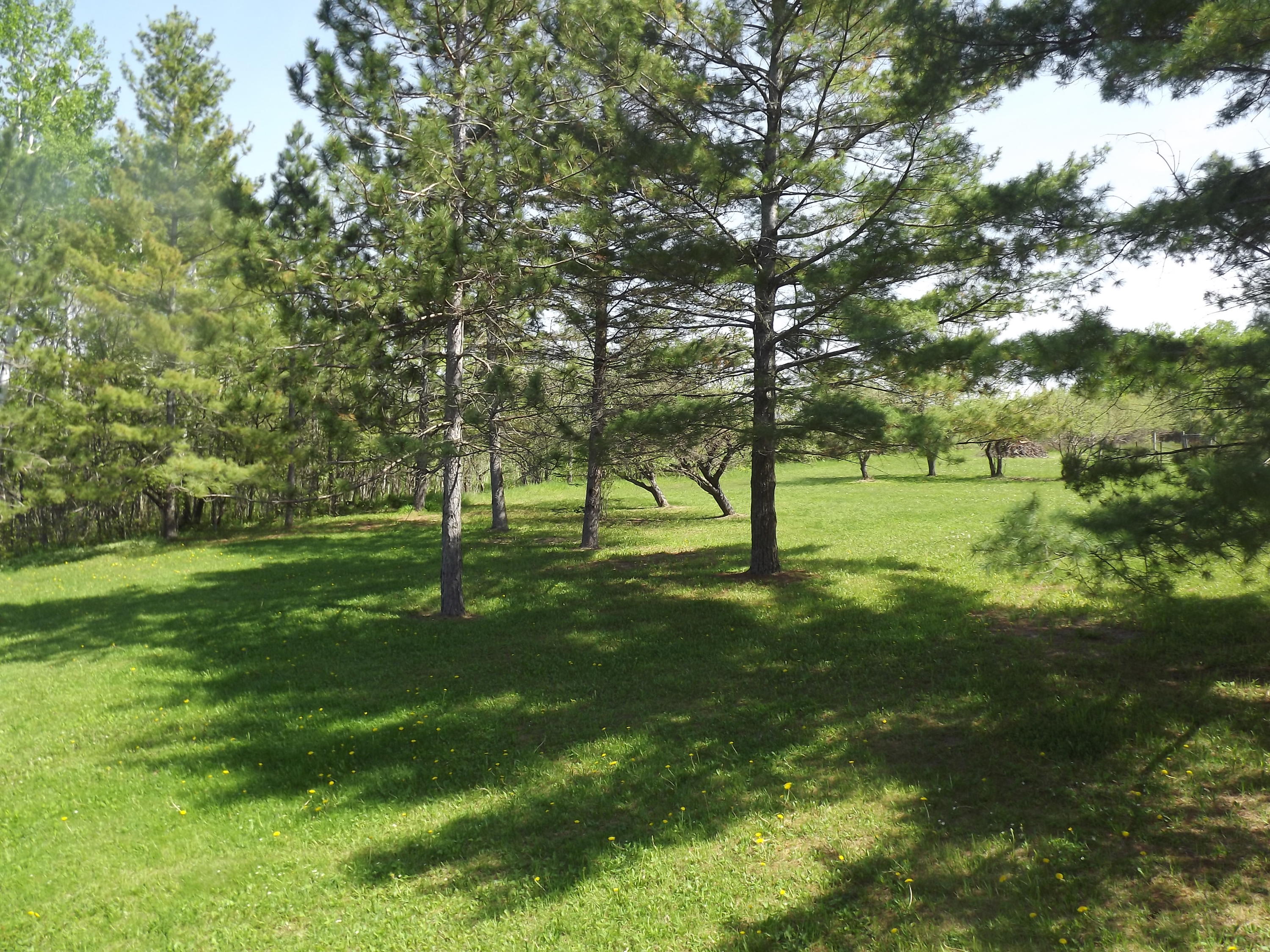 4158 South River Road Cheboygan, MI 49721 - Photo 7 of 83 Gallery Image 7