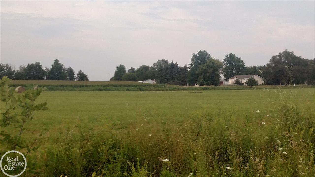 2563 Capac Road Allenton, MI 48002 - Photo 19 of 20