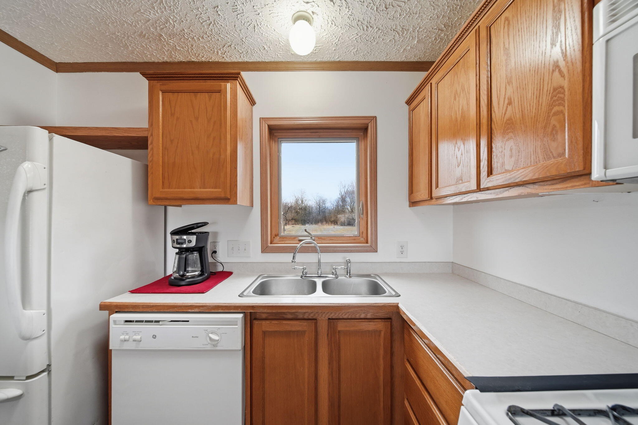 13412 Wabash Road Milan, MI 48160 - Photo 12 of 35 9-web-or-mls-DSC04024