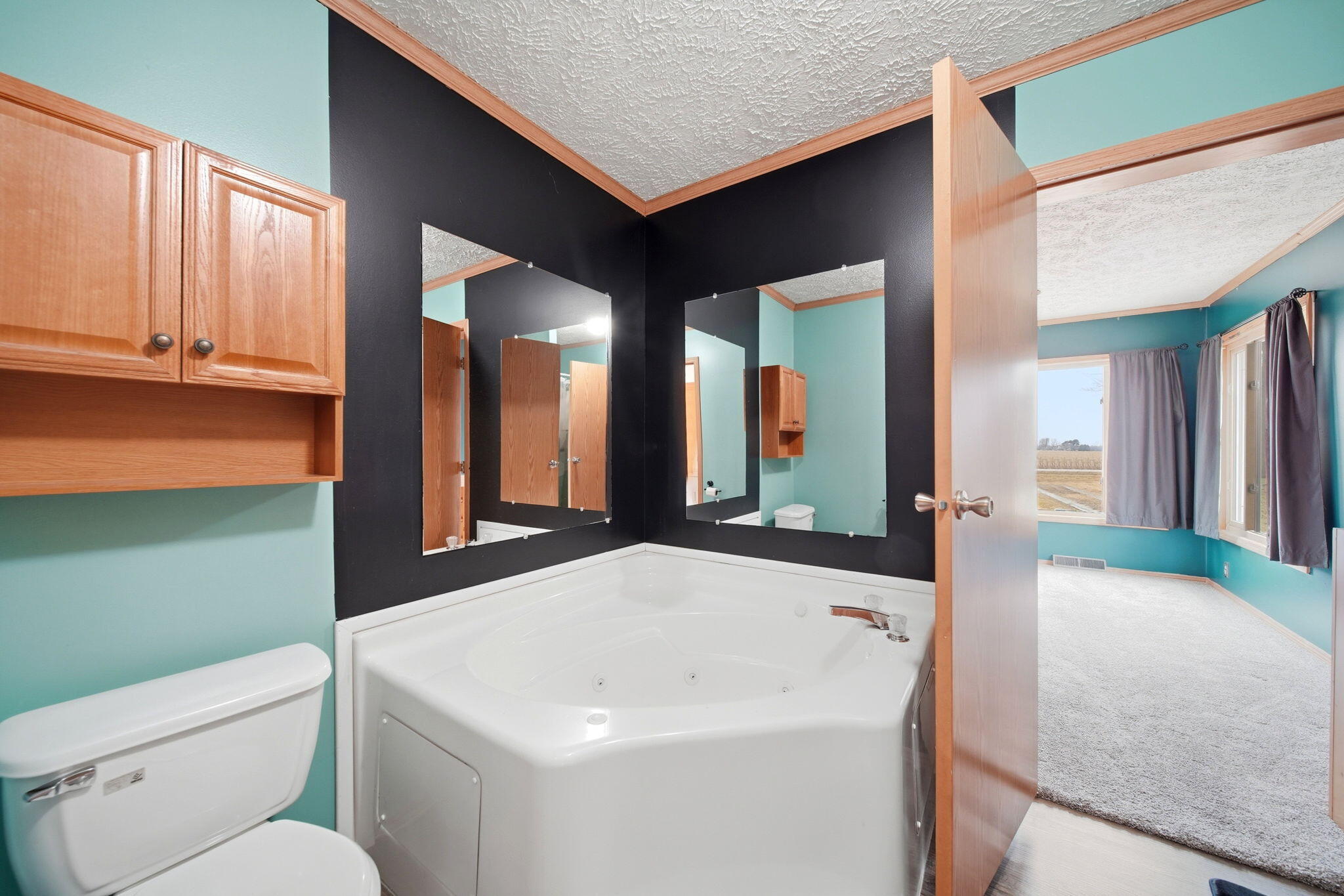 13412 Wabash Road Milan, MI 48160 - Photo 16 of 35 13-web-or-mls-DSC04047