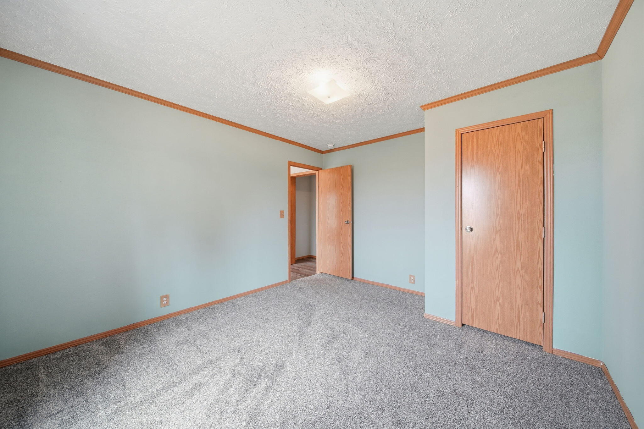 13412 Wabash Road Milan, MI 48160 - Photo 20 of 35 17-web-or-mls-DSC03961