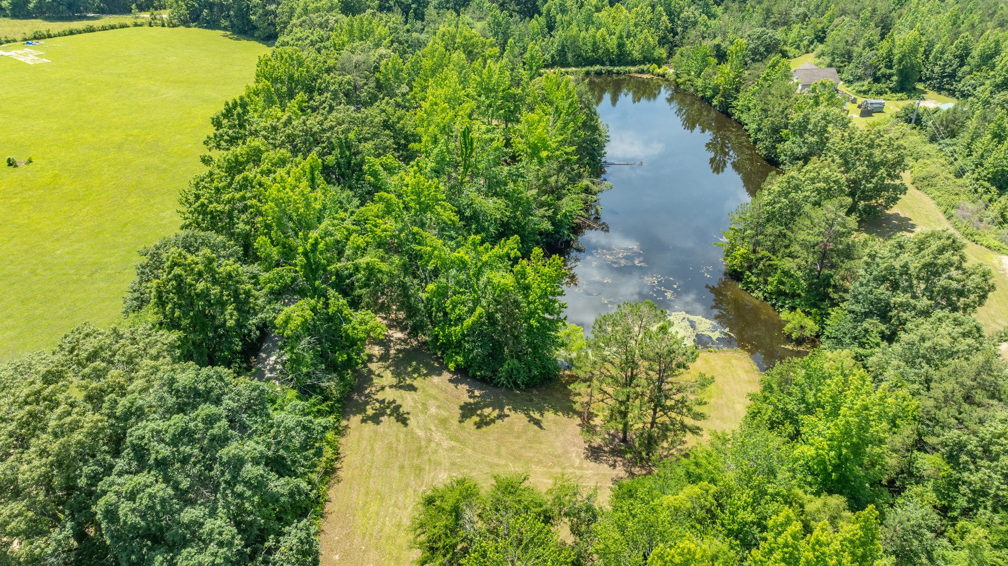 424 Charles McClearen Road Hohenwald, TN 38462 - Photo 72 of 80