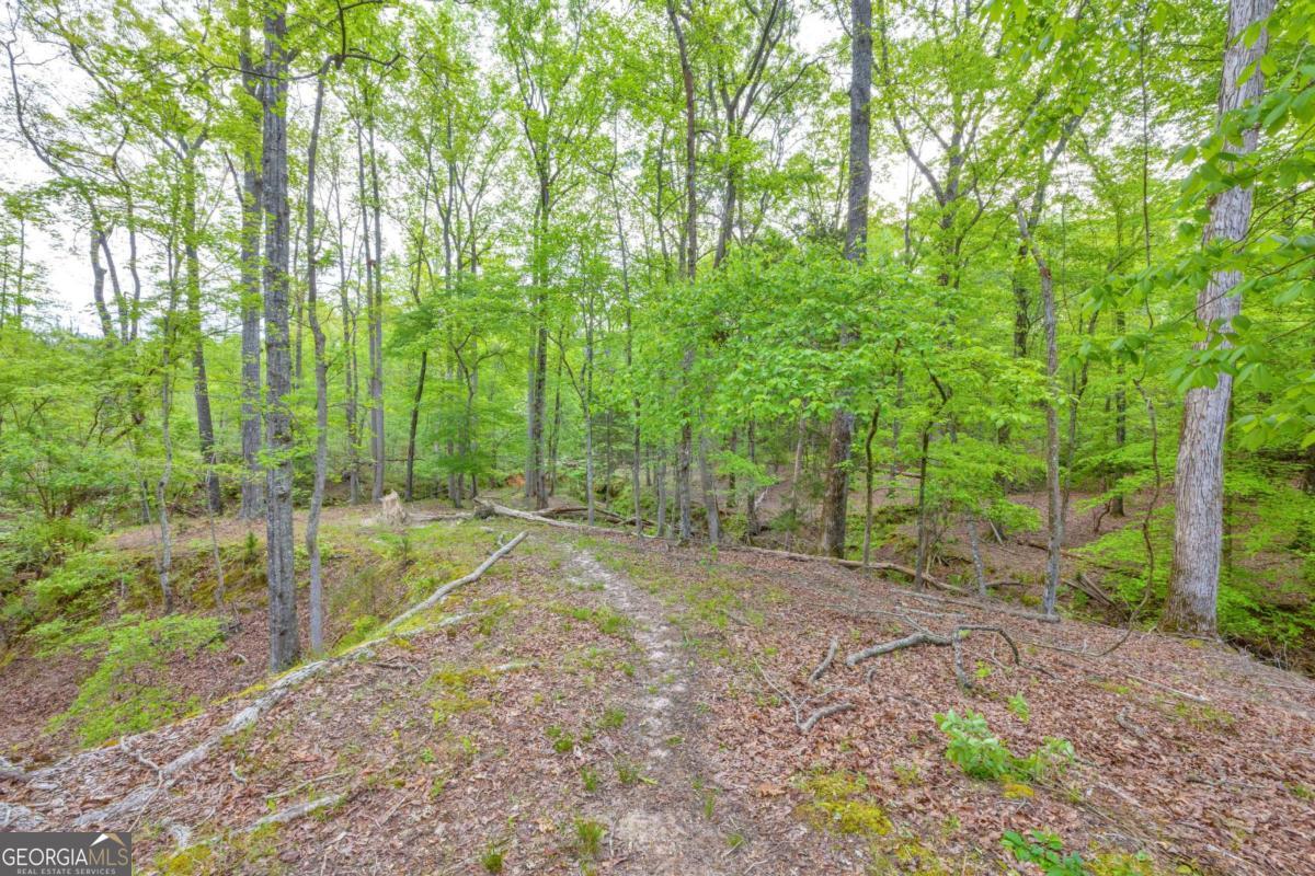 2450 Chestnut Grove Road, Unit 2 Shiloh, GA 31826 - Photo 11 of 59 a view of backyard with green space