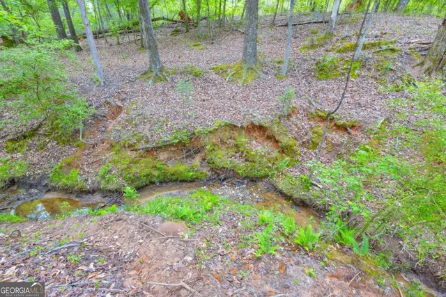 a view of an ocean and a yard