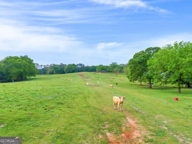 a view of a big yard with lots of green space