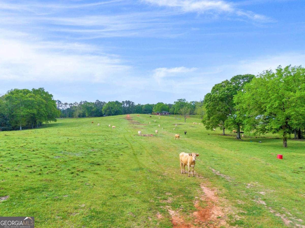 2450 Chestnut Grove Road, Unit 2 Shiloh, GA 31826 - Photo 24 of 59 a view of a lake with a yard