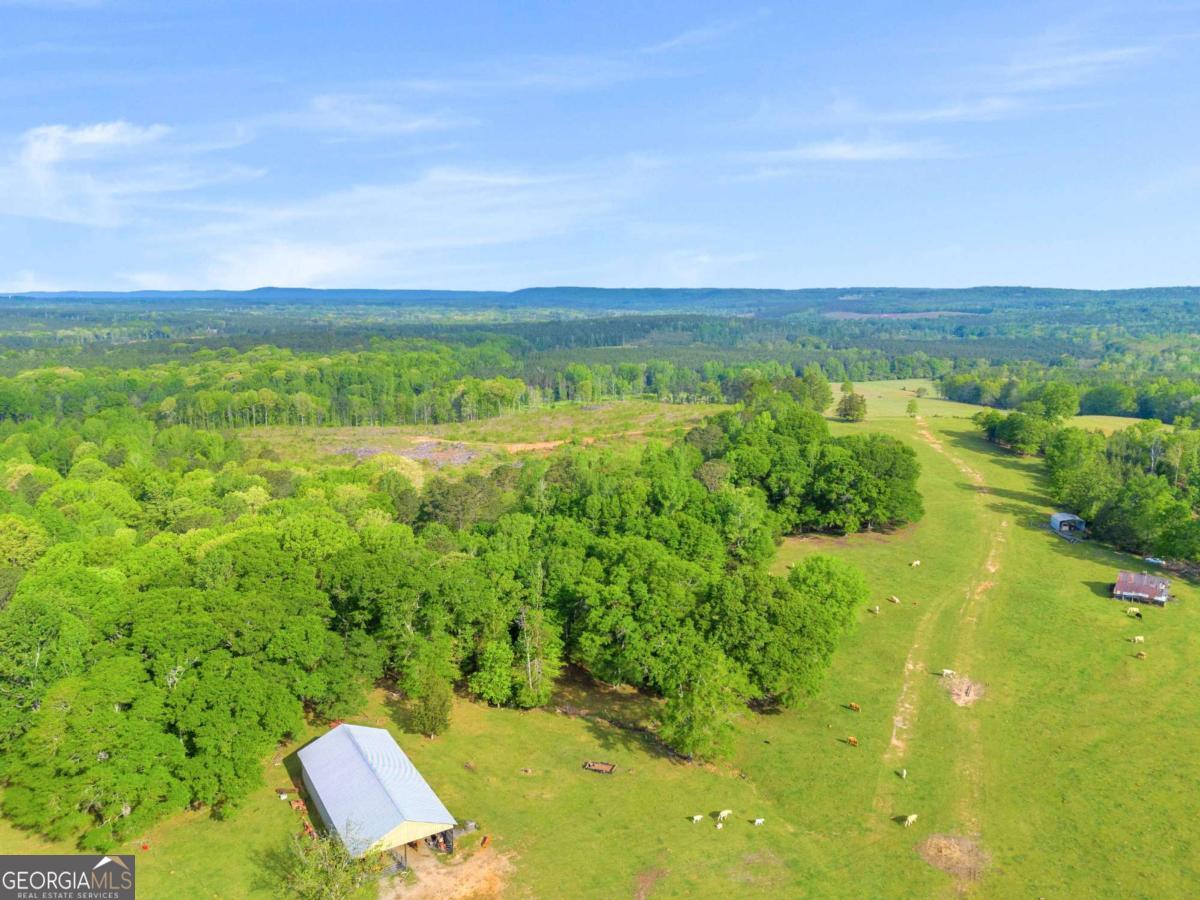 2450 Chestnut Grove Road, Unit 2 Shiloh, GA 31826 - Photo 26 of 59 a view of a lush green forest with lots of trees and houses