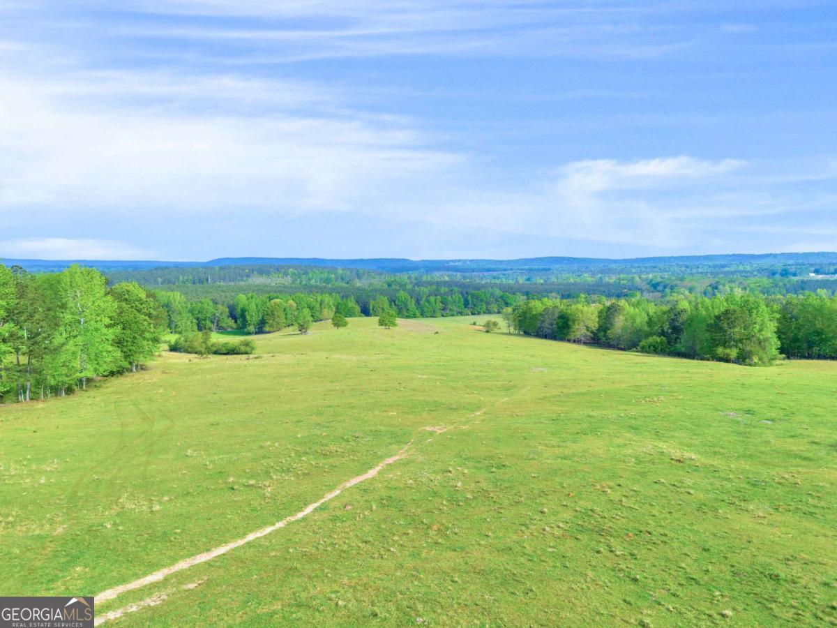 2450 Chestnut Grove Road, Unit 2 Shiloh, GA 31826 - Photo 28 of 59 a view of a big yard with lots of green space