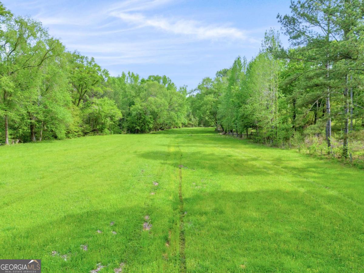 2450 Chestnut Grove Road, Unit 2 Shiloh, GA 31826 - Photo 30 of 59 a view of a big yard with a house in the background