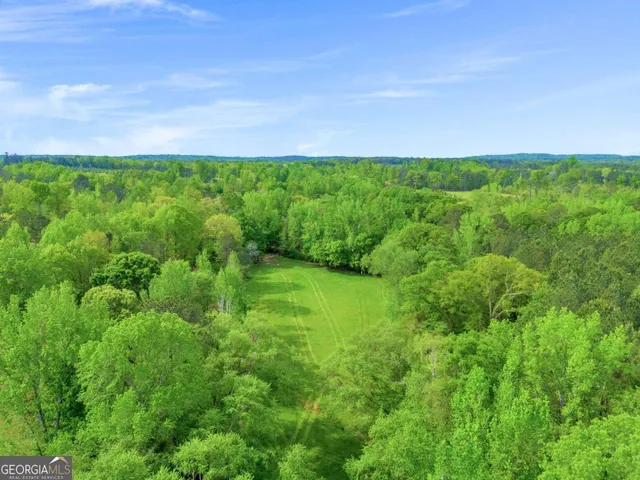 a view of a lush green outdoor space with a swimming pool and valleys in the background