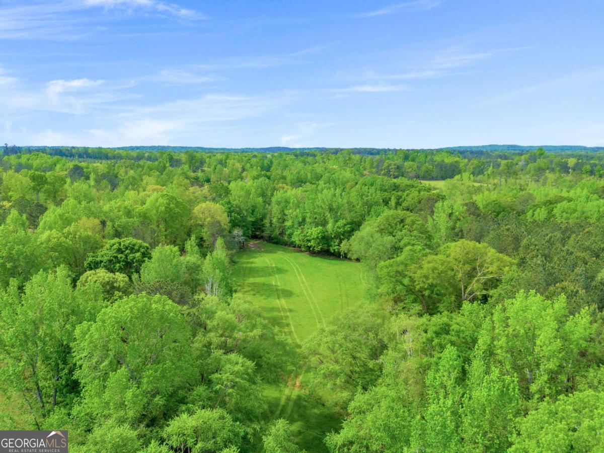 2450 Chestnut Grove Road, Unit 2 Shiloh, GA 31826 - Photo 32 of 59 a view of a field of grass and trees