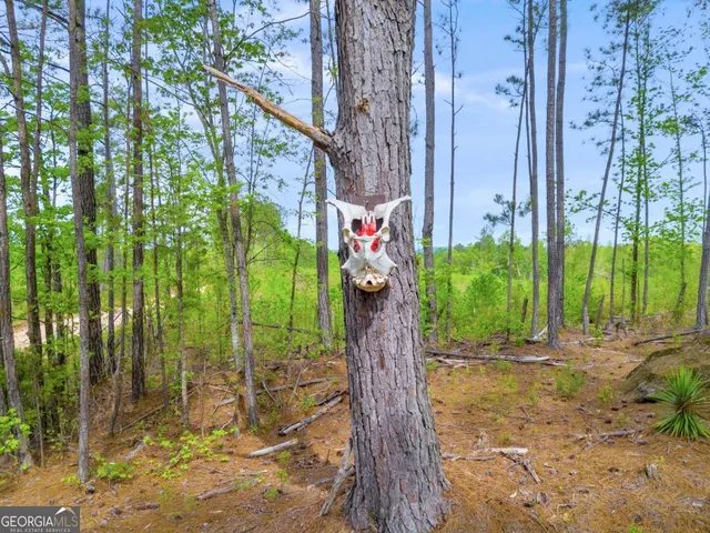a view of an outdoor space and a yard