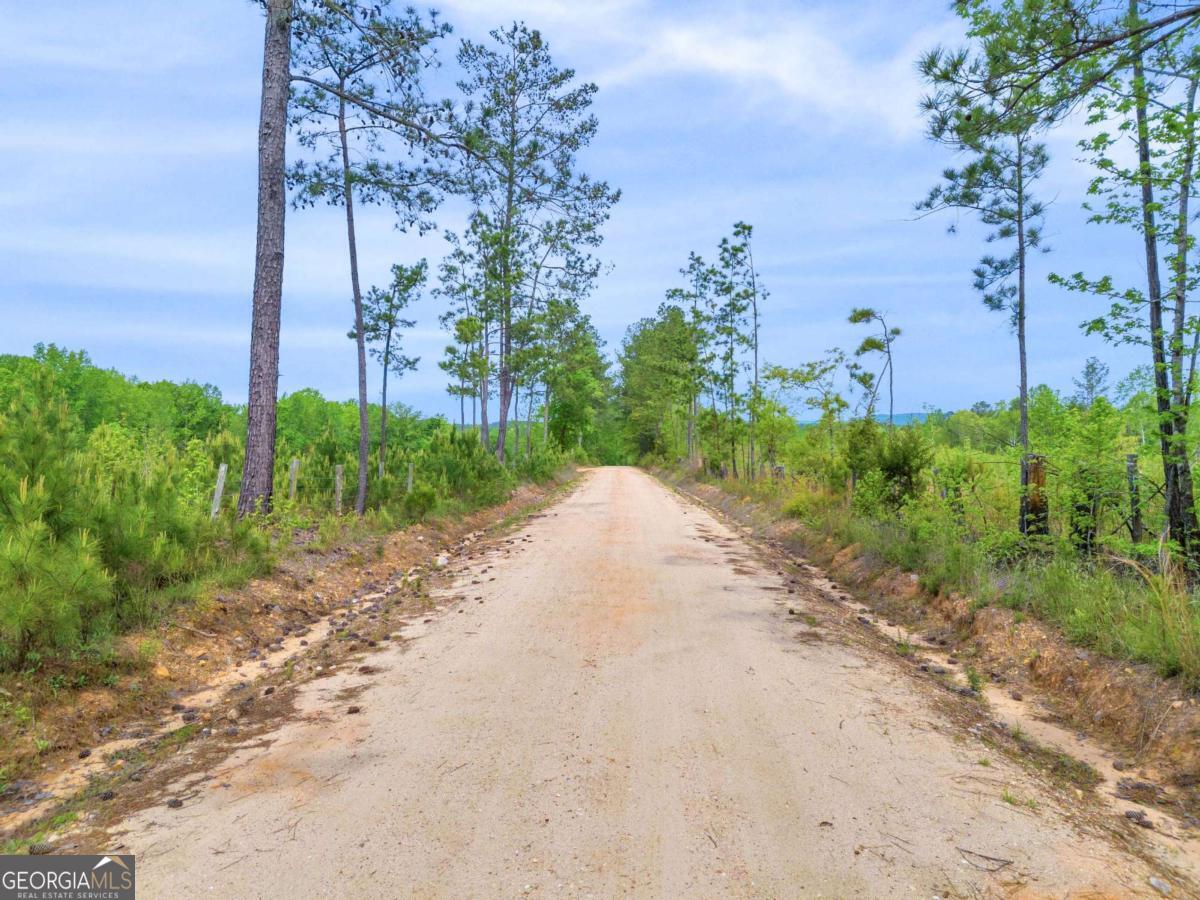 2450 Chestnut Grove Road, Unit 2 Shiloh, GA 31826 - Photo 34 of 59 a view of a road with a garden