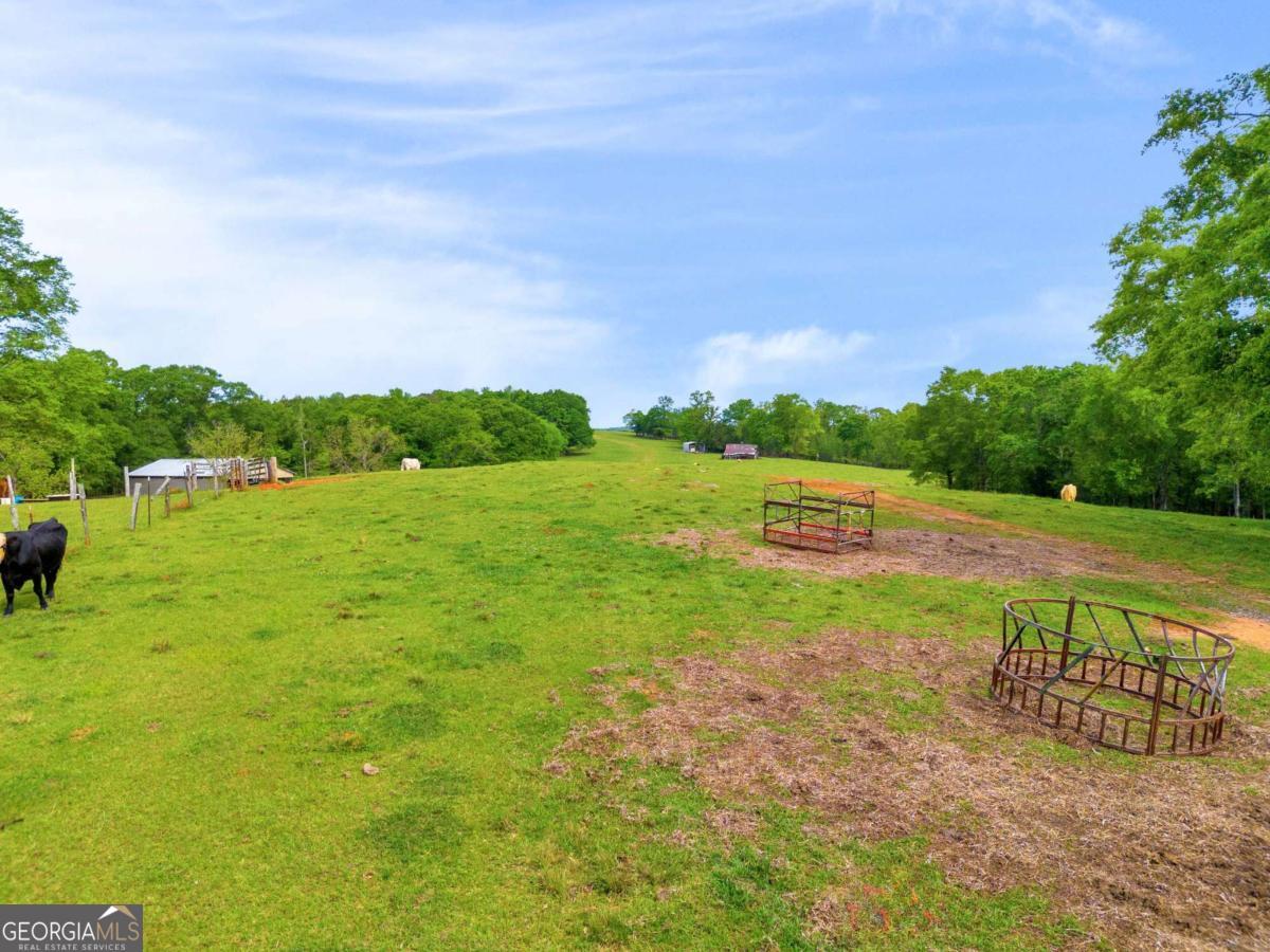 2450 Chestnut Grove Road, Unit 2 Shiloh, GA 31826 - Photo 37 of 59 a view of a river and garden with seating area