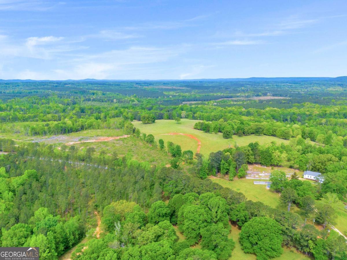 2450 Chestnut Grove Road, Unit 2 Shiloh, GA 31826 - Photo 39 of 59