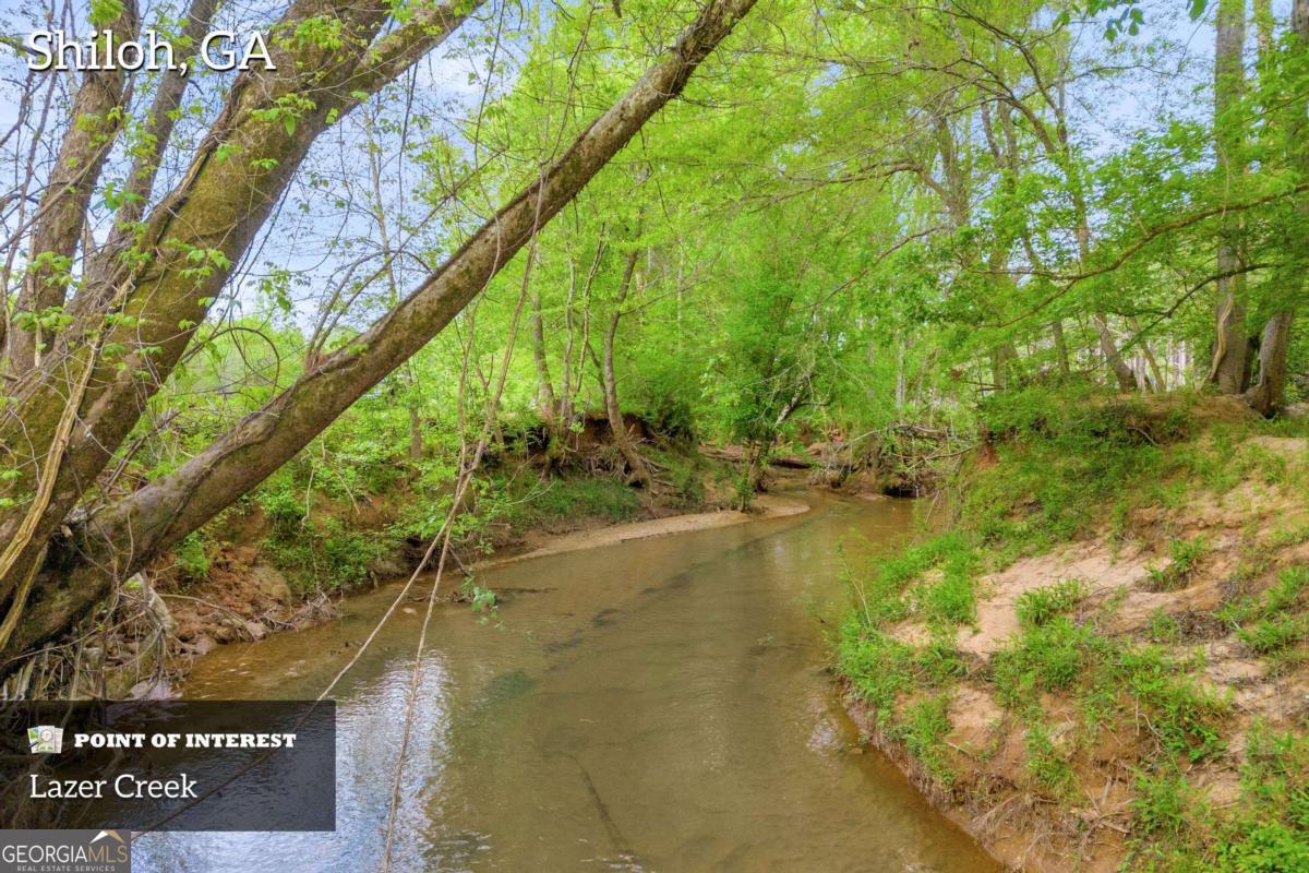 2450 Chestnut Grove Road, Unit 2 Shiloh, GA 31826 - Photo 4 of 59 a view of lake