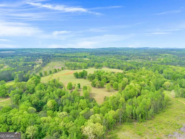 a view of a lush green outdoor space with a lake view